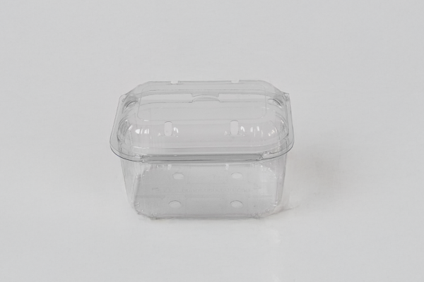 Barquettes RPET - Image 2